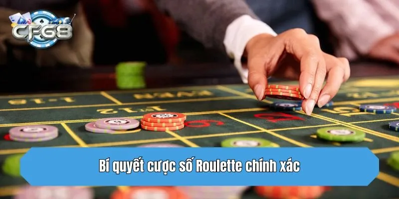 Bí quyết cược số Roulette chính xác